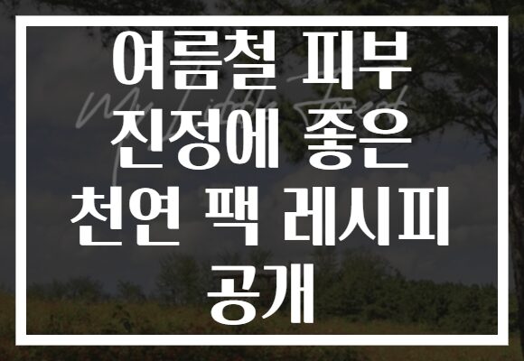 여름철 피부 진정에 좋은 천연 팩 레시피 공개