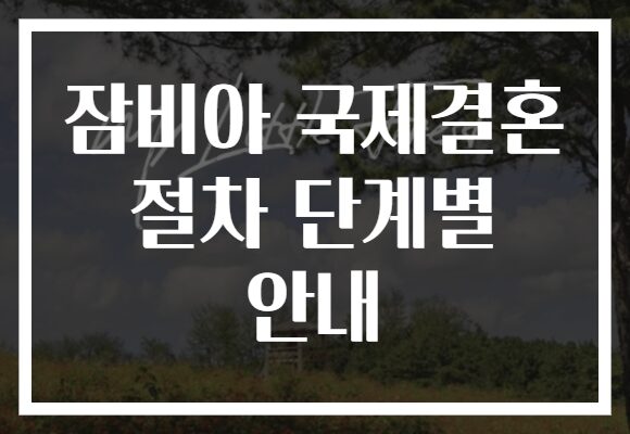 잠비아 국제결혼 절차 단계별 안내