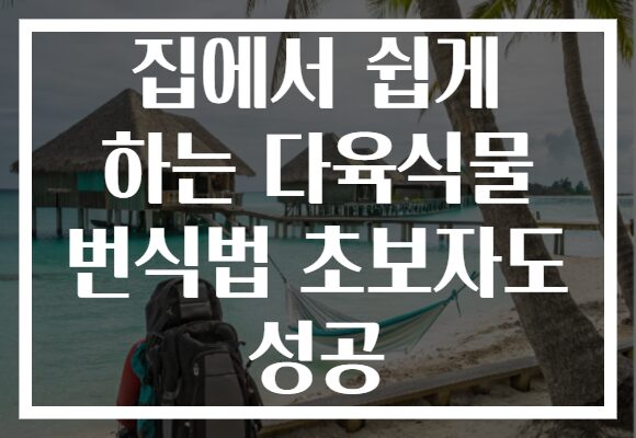 집에서 쉽게 하는 다육식물 번식법 초보자도 성공