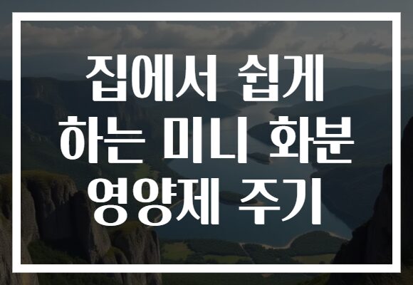 집에서 쉽게 하는 미니 화분 영양제 주기