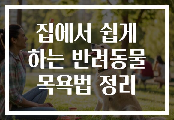 집에서 쉽게 하는 반려동물 목욕법 정리