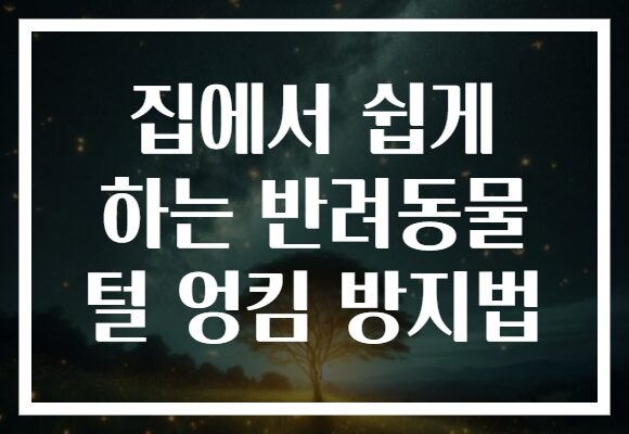집에서 쉽게 하는 반려동물 털 엉킴 방지법