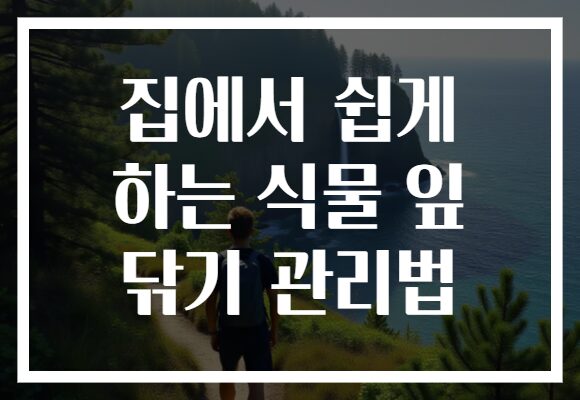 집에서 쉽게 하는 식물 잎 닦기 관리법