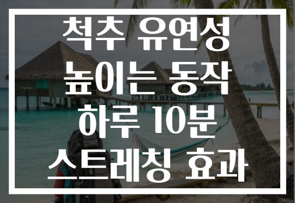 척추 유연성 높이는 동작 하루 10분 스트레칭 효과