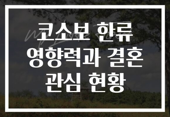 코소보 한류 영향력과 결혼 관심 현황