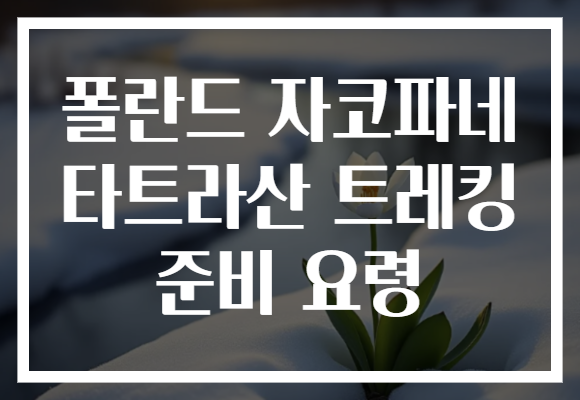 폴란드 자코파네 타트라산 트레킹 준비 요령