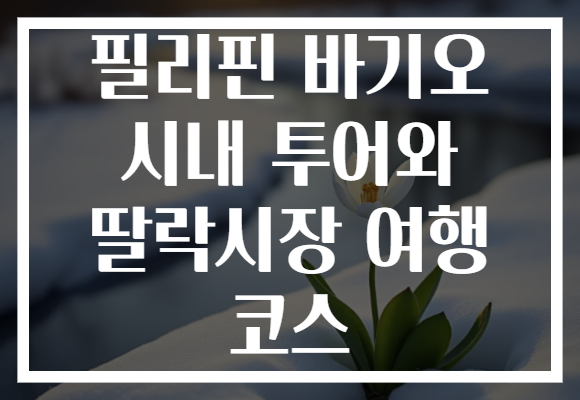 필리핀 바기오 시내 투어와 딸락시장 여행 코스 필리핀 바기오 시내 투어와 딸락시장 여행 코스