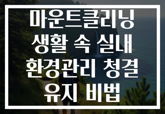 마운트클리닝 생활 속 실내 환경관리 청결 유지 비법
