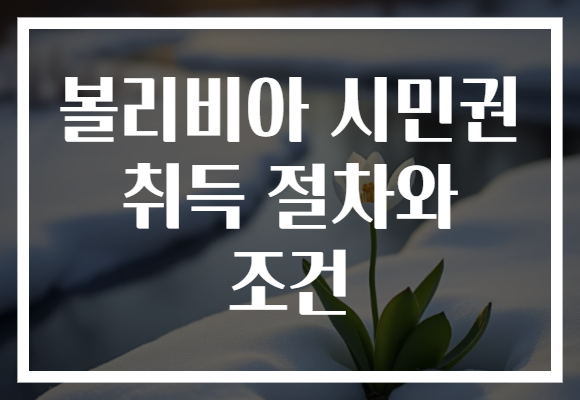 볼리비아 시민권 취득 절차와 조건