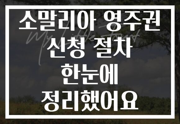 소말리아 영주권 신청 절차 한눈에 정리했어요