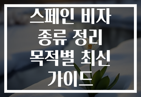 스페인 비자 종류 정리 목적별 최신 가이드