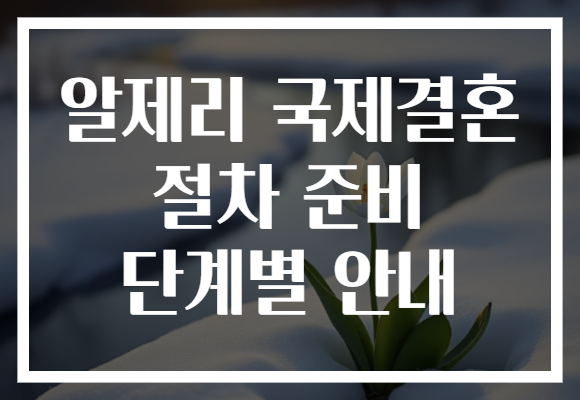 알제리 국제결혼 절차 준비 단계별 안내