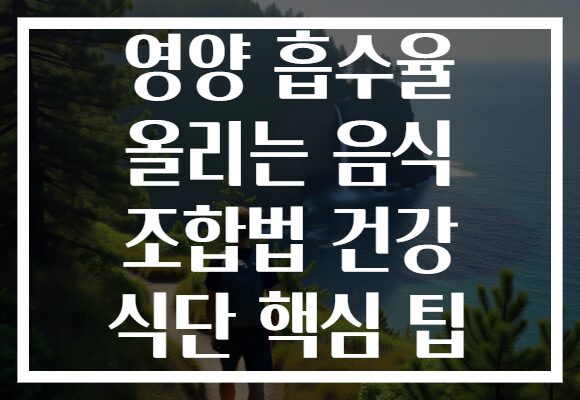 영양 흡수율 올리는 음식 조합법 건강 식단 핵심 팁