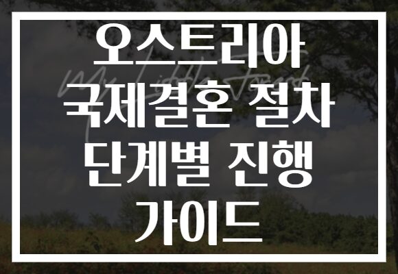 오스트리아 국제결혼 절차 단계별 진행 가이드 오스트리아 국제결혼 절차 단계별 진행 가이드