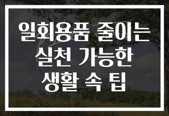 일회용품 줄이는 실천 가능한 생활 속 팁