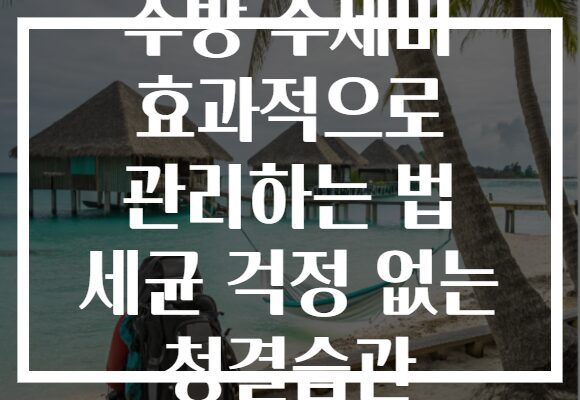 주방 수세미 효과적으로 관리하는 법 세균 걱정 없는 청결습관 주방 수세미 효과적으로 관리하는 법 세균 걱정 없는 청결습관
