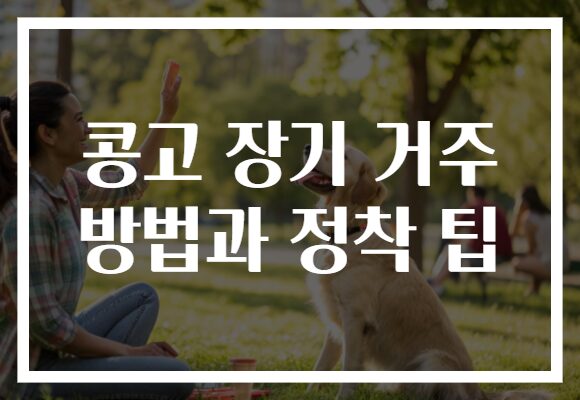 콩고 장기 거주 방법과 정착 팁