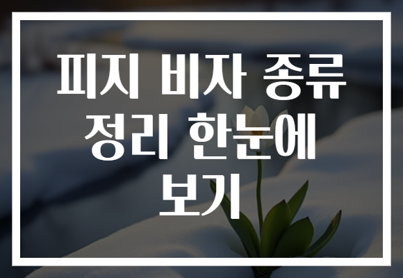 피지 비자 종류 정리 한눈에 보기