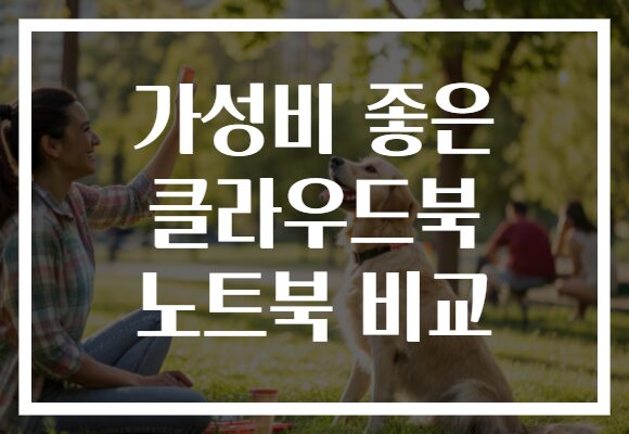 가성비 좋은 클라우드북 노트북 비교