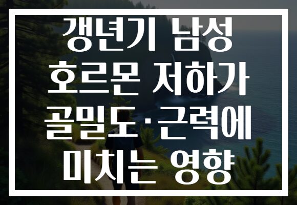 갱년기 남성 호르몬 저하가 골밀도·근력에 미치는 영향