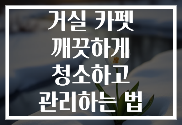 거실 카펫 깨끗하게 청소하고 관리하는 법