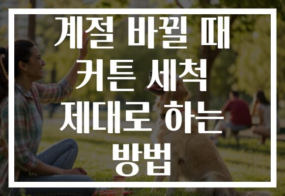 계절 바뀔 때 커튼 세척 제대로 하는 방법