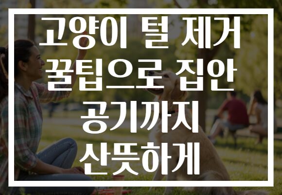 고양이 털 제거 꿀팁으로 집안 공기까지 산뜻하게