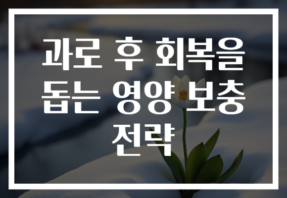 과로 후 회복을 돕는 영양 보충 전략 과로 후 회복을 돕는 영양 보충 전략