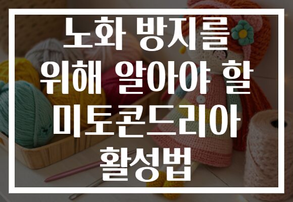 노화 방지를 위해 알아야 할 미토콘드리아 활성법 노화 방지를 위해 알아야 할 미토콘드리아 활성법