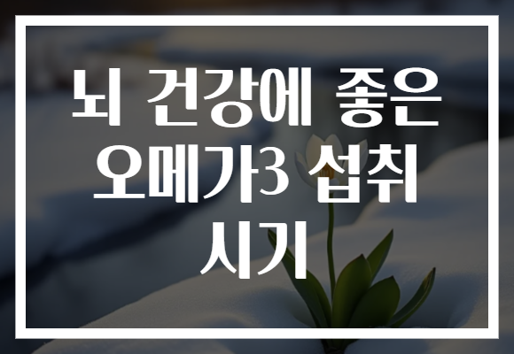 뇌 건강에 좋은 오메가3 섭취 시기 뇌 건강에 좋은 오메가3 섭취 시기