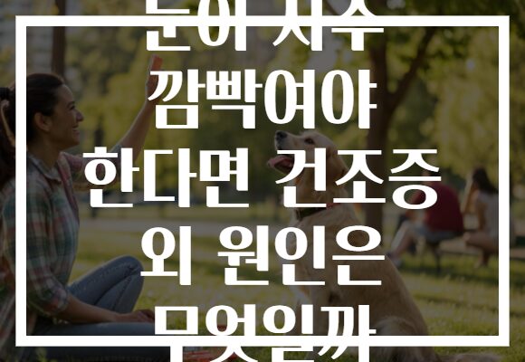 눈이 자주 깜빡여야 한다면 건조증 외 원인은 무엇일까