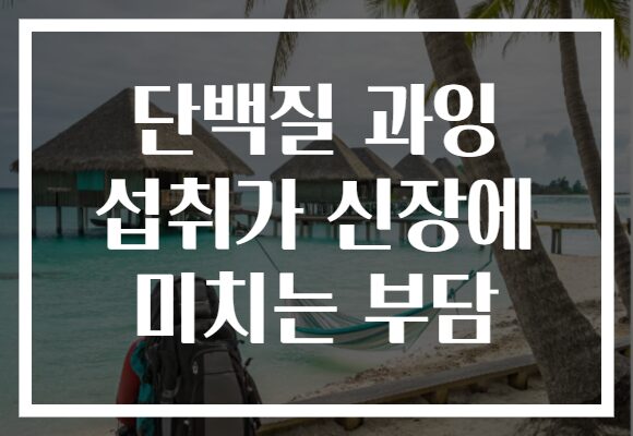 단백질 과잉 섭취가 신장에 미치는 부담