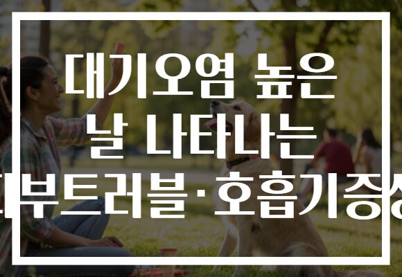 대기오염 높은 날 나타나는 피부트러블·호흡기증상 대기오염 높은 날 나타나는 피부트러블·호흡기증상