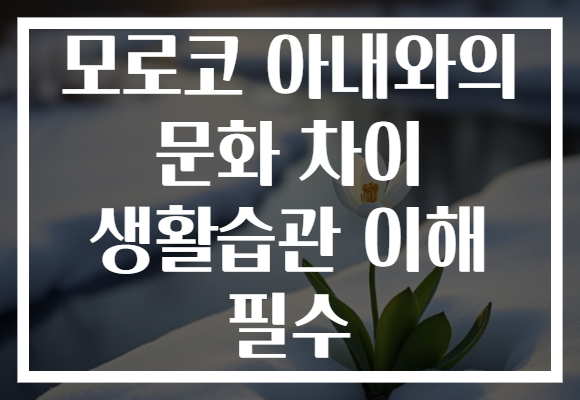 모로코 아내와의 문화 차이 생활습관 이해 필수 모로코 아내와의 문화 차이 생활습관 이해 필수