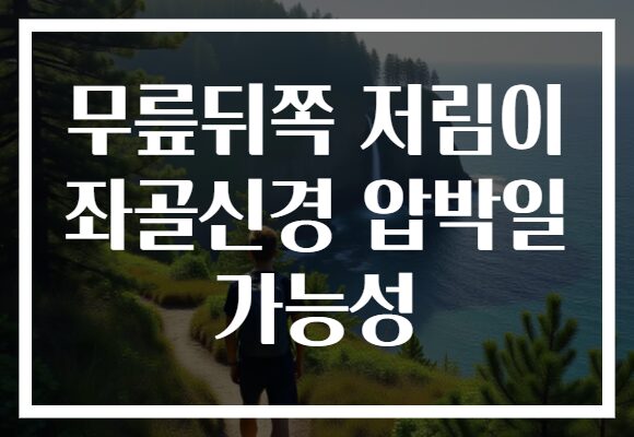 무릎뒤쪽 저림이 좌골신경 압박일 가능성 무릎뒤쪽 저림이 좌골신경 압박일 가능성