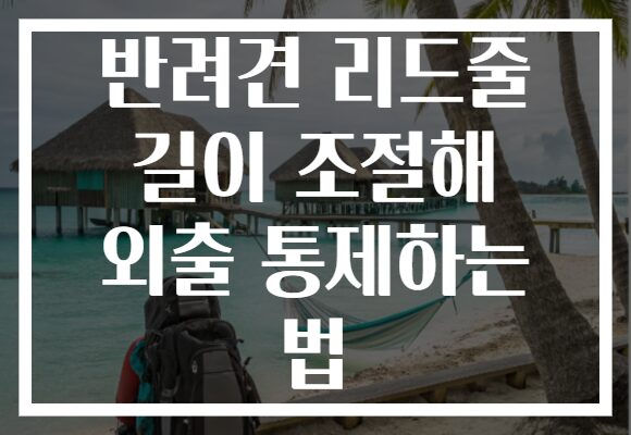 반려견 리드줄 길이 조절해 외출 통제하는 법