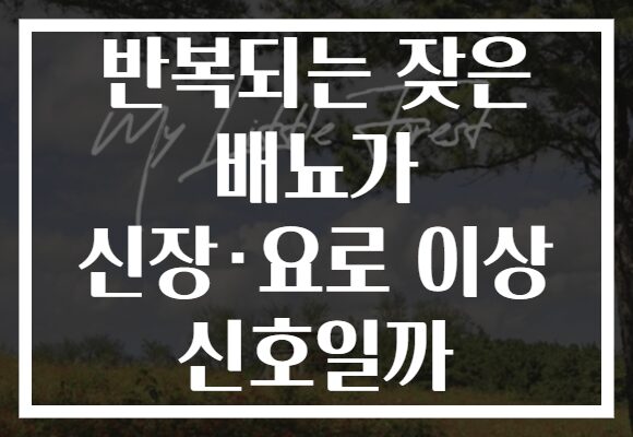 반복되는 잦은 배뇨가 신장·요로 이상 신호일까 반복되는 잦은 배뇨가 신장·요로 이상 신호일까