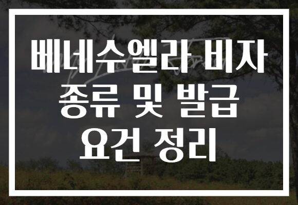 베네수엘라 비자 종류 및 발급 요건 정리