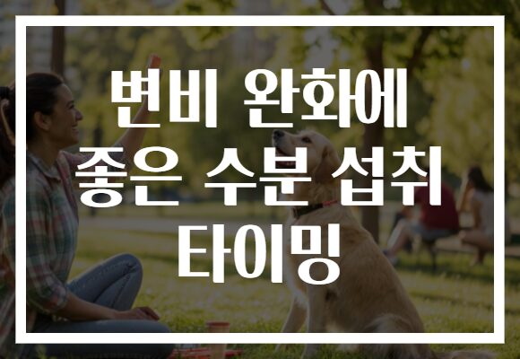 변비 완화에 좋은 수분 섭취 타이밍 변비 완화에 좋은 수분 섭취 타이밍