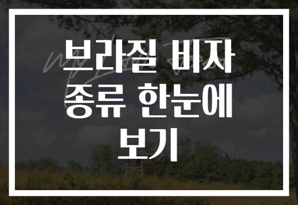 브라질 비자 종류 한눈에 보기