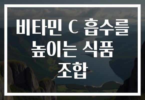 비타민 C 흡수를 높이는 식품 조합