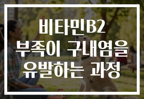 비타민B2 부족이 구내염을 유발하는 과정