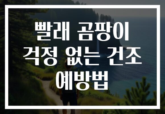 빨래 곰팡이 걱정 없는 건조 예방법