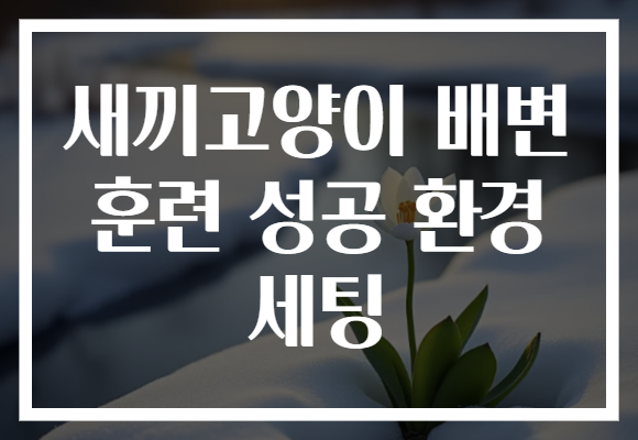 새끼고양이 배변 훈련 성공 환경 세팅 새끼고양이 배변 훈련 성공 환경 세팅