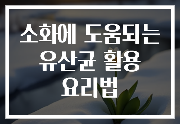 소화에 도움되는 유산균 활용 요리법