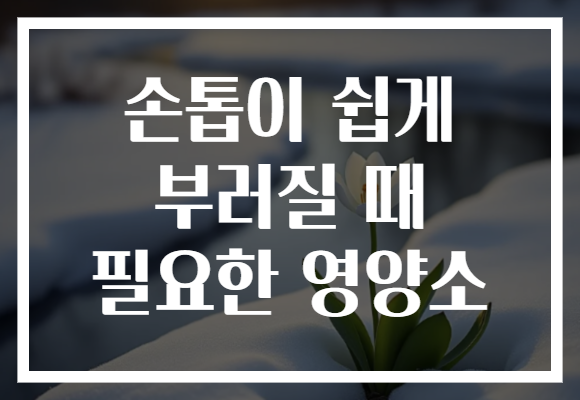 손톱이 쉽게 부러질 때 필요한 영양소