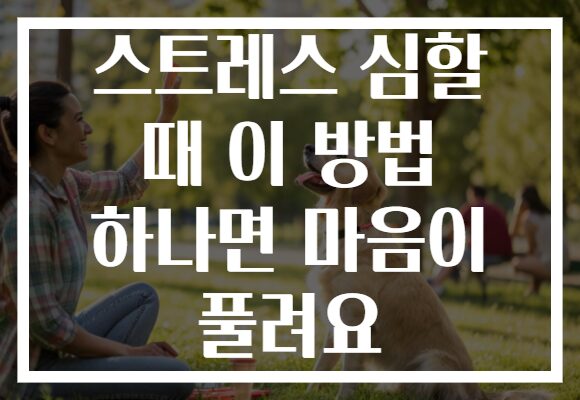 스트레스 심할 때 이 방법 하나면 마음이 풀려요