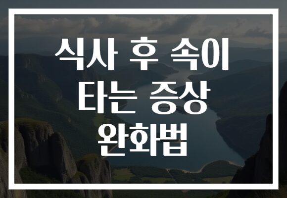 식사 후 속이 타는 증상 완화법