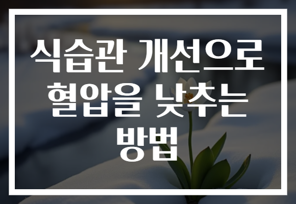 식습관 개선으로 혈압을 낮추는 방법 식습관 개선으로 혈압을 낮추는 방법