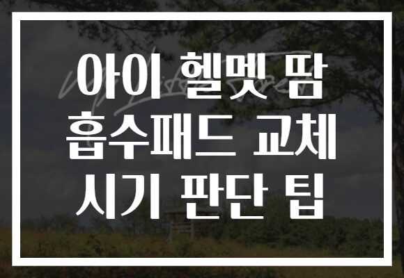 아이 헬멧 땀 흡수패드 교체 시기 판단 팁